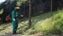 700 personelle yeşil alanlarda bahar temizliği
